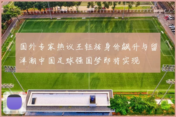 国外专家热议王钰栋身价飙升与留洋潮中国足球强国梦即将实现